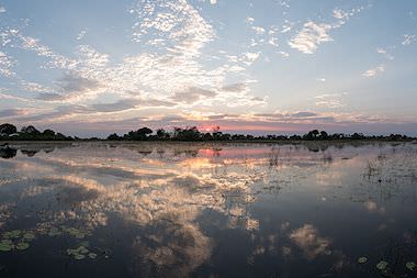 Dusk settles over the Okavango Delta.