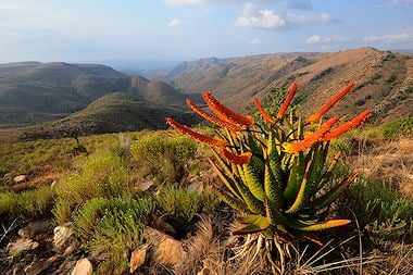 Enchanting scenery in a South African national park.