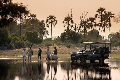safari de luxe au botswana