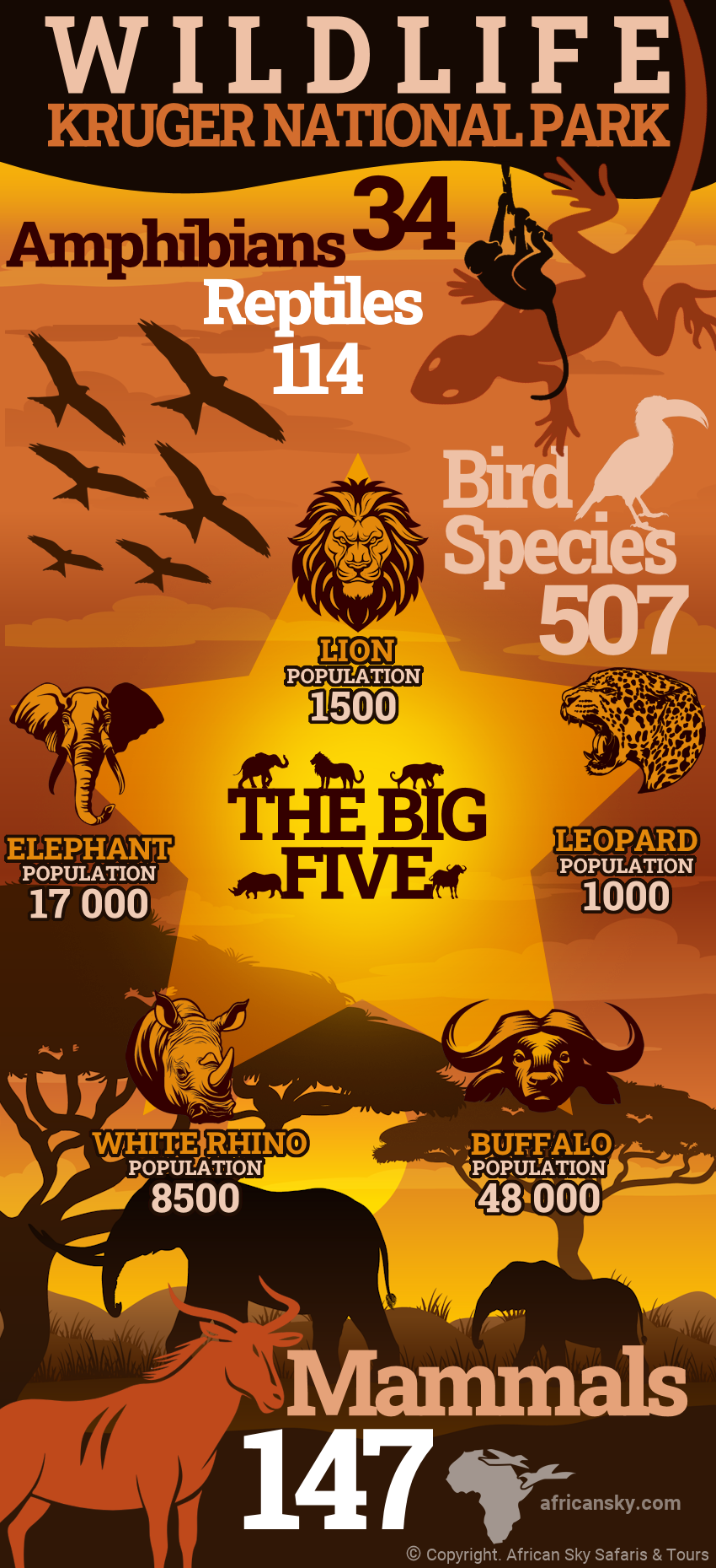 Infographic of the Species of Wildlife In Kruger National Park