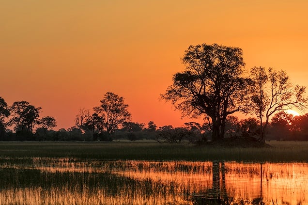 Okavango River