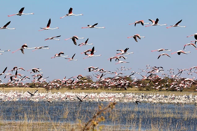 Nata Bird Sanctuary