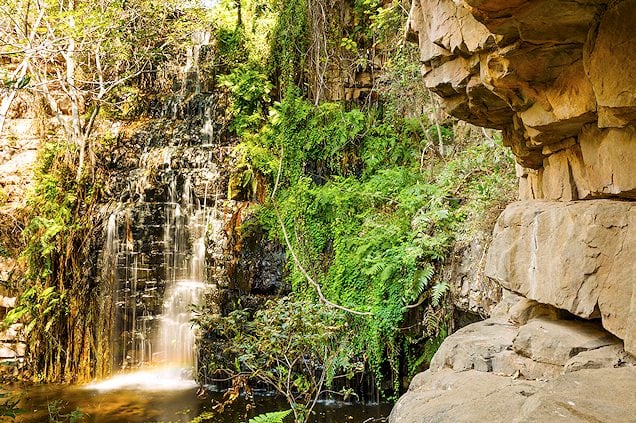 Moremi Gorge