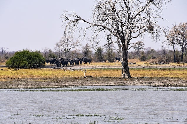 Nagatsaa and Tchinga