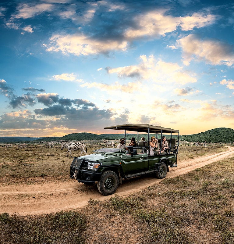 Travelers on a game drive through a scenic African landscape