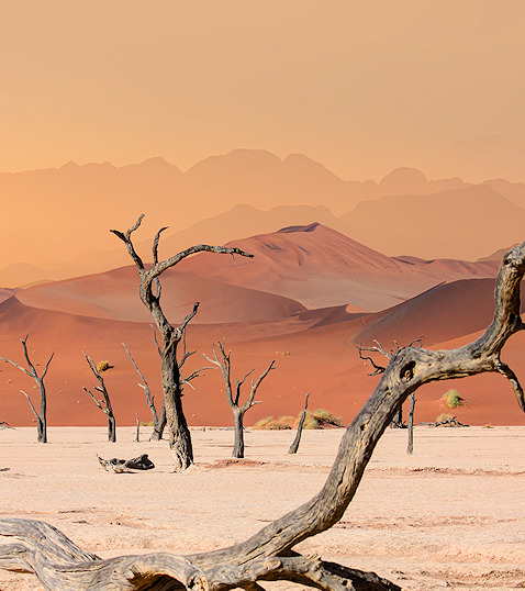 Towering red dunes at Sossusvlei, Namibia