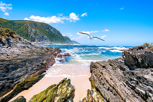 Coastal beach scene on South Africa’s Garden Route