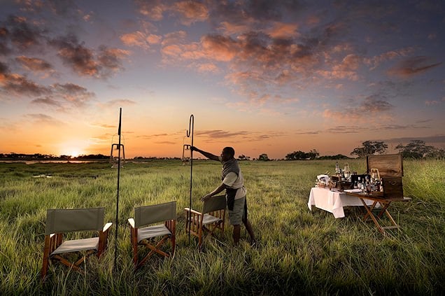 Bush picnic on a luxury African safari.