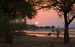 Sunset scene by the river in Mana Pools National Park, Zimbabwe