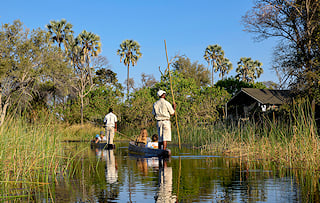 Mokoro canoes gliding along reed-lined channels of the Okavango Delta