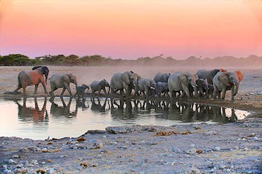 package tours for namibia africa